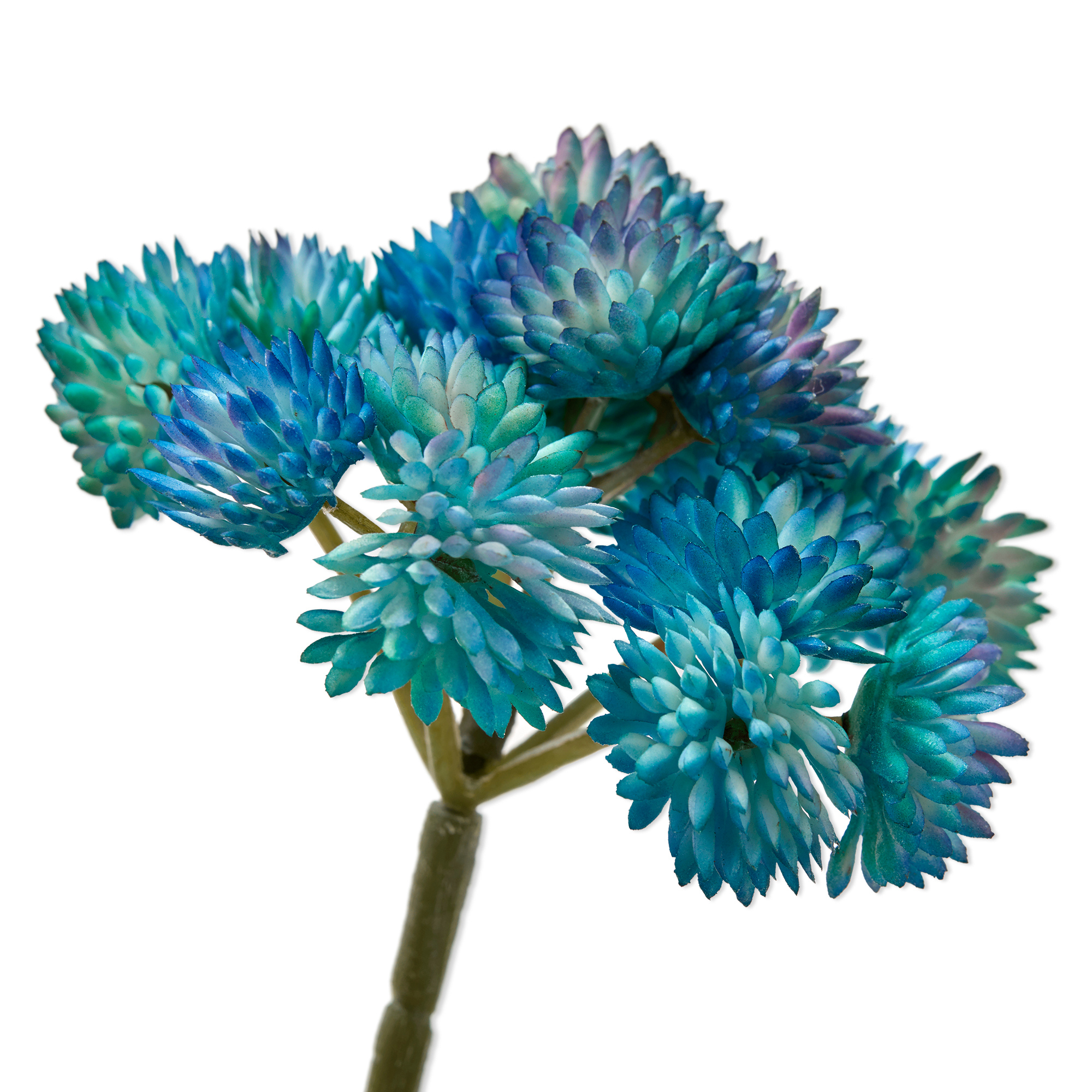 Mainstays Artificial Succulent Pick 3.75 inch x 5 inch Blue Sedum