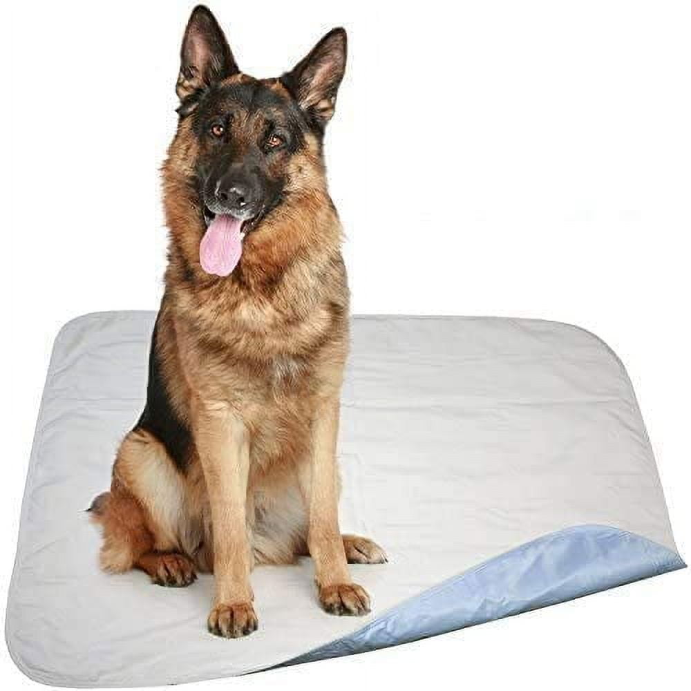 Careoutfit 36 x 72 Blue Quilted XXL Premium Waterproof Reusable/Washable Large Dog/Puppy Training Travel Pee Pads