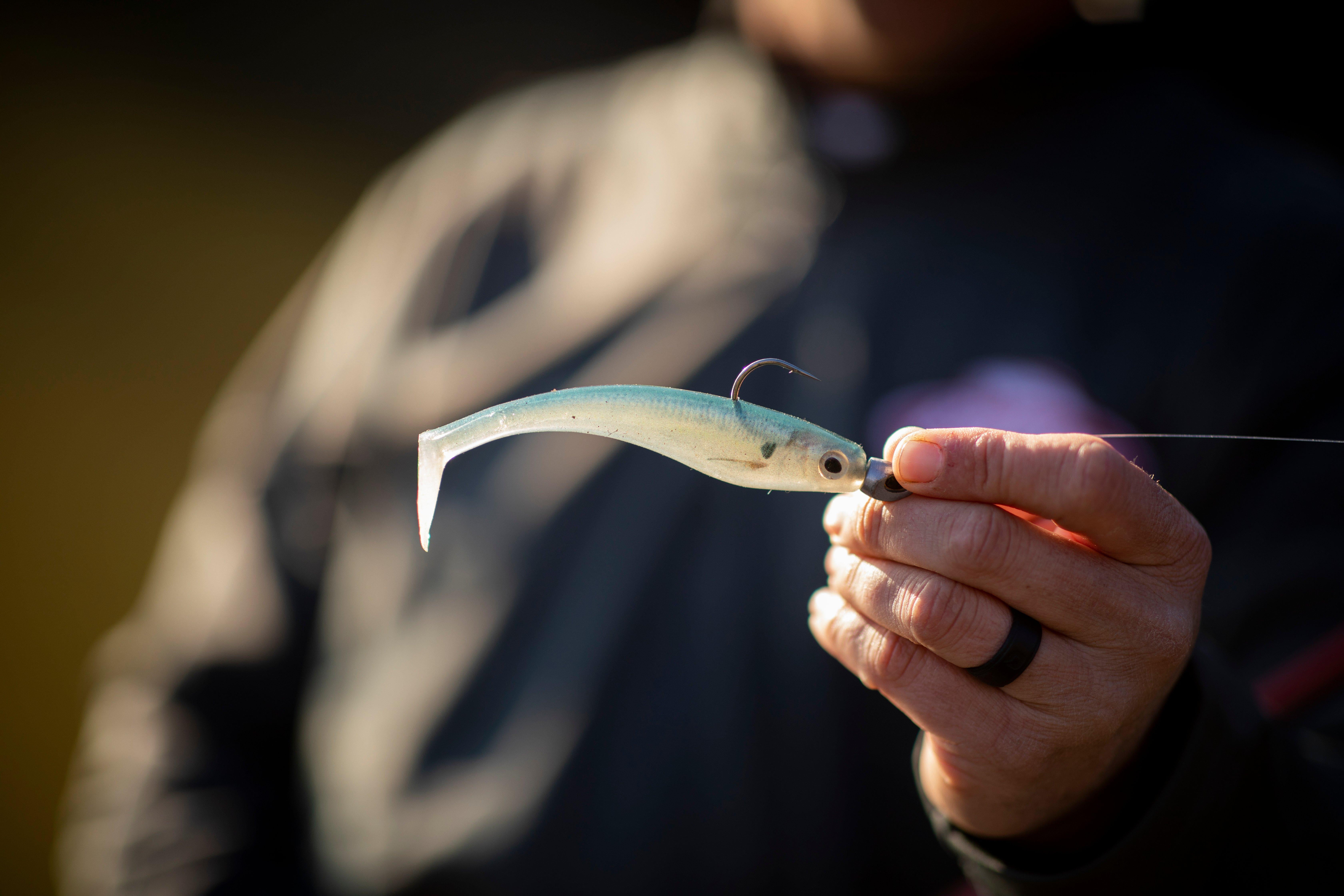 PowerBait® Hollow Belly