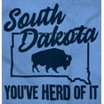 thumbnail image 2 of South Dakota You've Heard Pun Bison Women's T Shirt Ladies Tee Brisco Brands 2X, 2 of 6