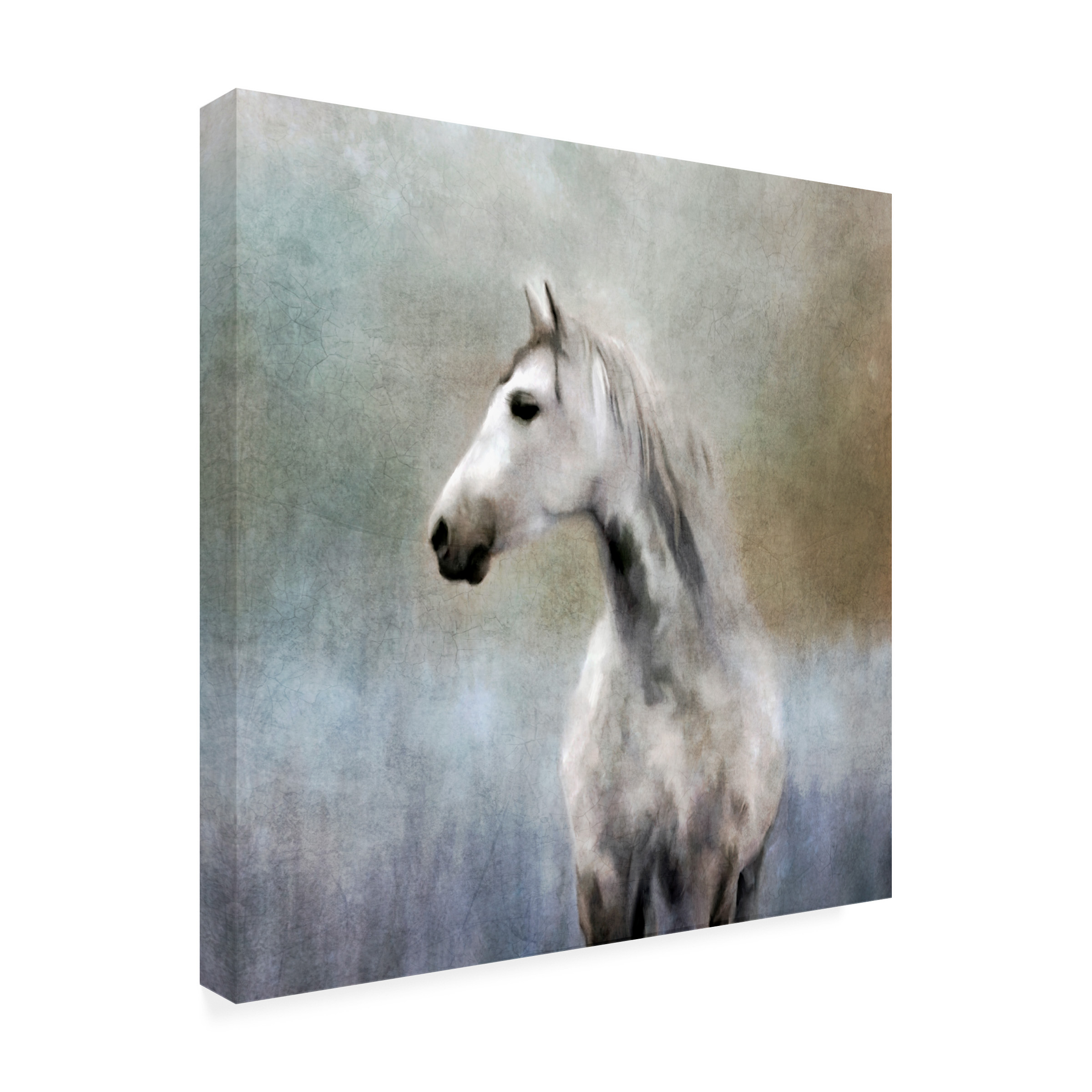 Katrina Jones 'Misty Grey Dappled Horse' Canvas Art