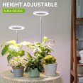 thumbnail image 2 of Lámpara LED para plantas Grow Light LORDEM de espectro completo, 72 W, con temporizador, 2 of 7