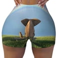 thumbnail image 2 of Lsque Elephant Dog Pattern High Waisted Biker Shorts for Women-Tummy Control Fitness Athletic Workout Running Yoga Gym Shorts,Moisture-Wicking-X-Large, 2 of 9