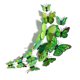 thumbnail image 1 of Advancent 12 unids/set 3D mariposa pared pegatina sala de estar dormitorio adhesivo 3D papel de pared PVC calcomanía decoración del hogar Decoración del hogar verde Advancent HA002018-04, 1 of 1