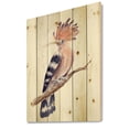 thumbnail image 2 of Designart 'Ancient Hoopoe Bird On A Branch' Traditional Print on Natural Pine Wood, 2 of 5