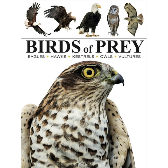 Mini Encyclopedias Birds of Prey, (Paperback)