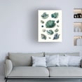 thumbnail image 3 of Vision Studio 'Celadon Shells II' Canvas Art, 3 of 4