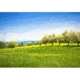 thumbnail image 2 of wall26 - Oil Painting Spring Landscape - Green Meadow and Fruit Trees. Original Oil Painting on Canvas. - Removable Wall Mural | Self-Adhesive Large Wallpaper - 100x144 inches, 2 of 6