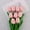 light pink, variant on Artificial Tulip Bouquet, Elegant Home Decor Flowers, Lifelike Floral Bouquet, Realistic Tulip Flower Decorative Centerpiece for Living Room and Dining Table, Pink 13.4 In (1Pcs)