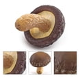 thumbnail image 4 of Paokuoon Mushroom Figure Colorful Mushroom Figure Mini Landscape Decor Ornament Fadeless Simulation Mushroom, 4 of 6