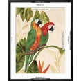 thumbnail image 5 of Art.com Tropical Green Pair Art Print by Colleen Sarah, Black Frame Wall Art, 23" x 29", 5 of 5