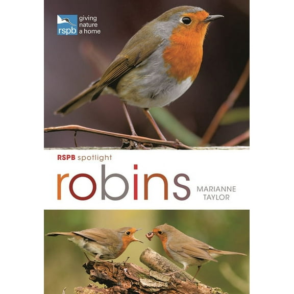 RSPB Spotlight: Robins