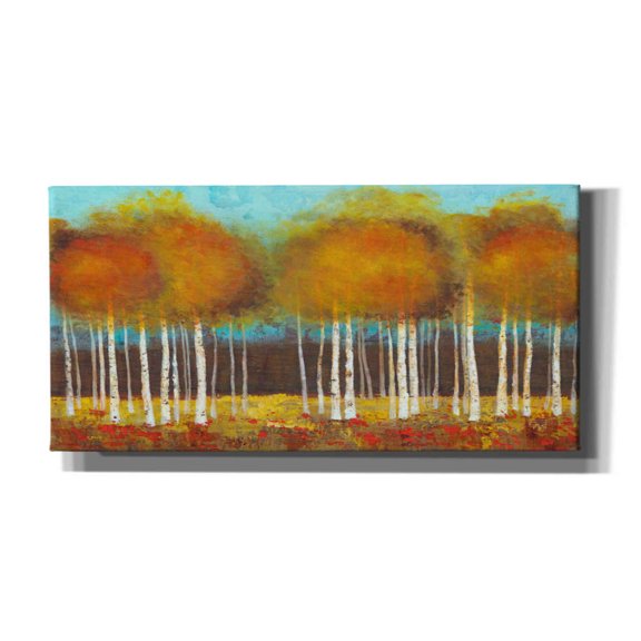 Epic Graffiti 'Atmoshere' by Jadei Graphics, Canvas Wall Art, 40"x20"