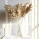 thumbnail image 4 of 30/50 piezas de hierba de pampa, 50 22.8 in de hierba de pampa natural para decoración del hogar, ramo de hierba de flores de caña seca, decoración floral artificial, decoración de boda, 30 unidades, 4 of 5
