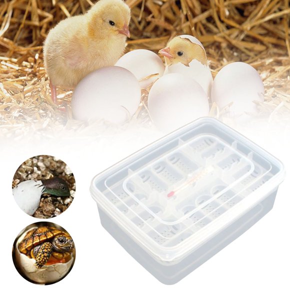 Clearance Sales! DomFun Pet Reptile Gecko 16 Grids Egg Hatchery Breeding Box Case