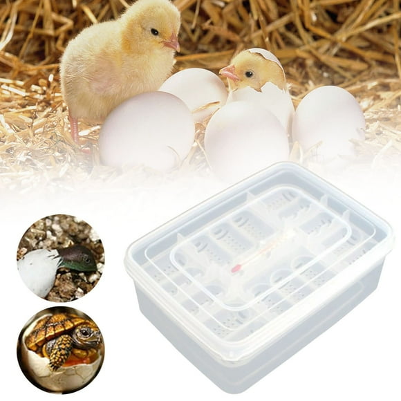 Clearance Sales! DomFun Pet Reptile Gecko 16 Grids Egg Hatchery Breeding Box Case