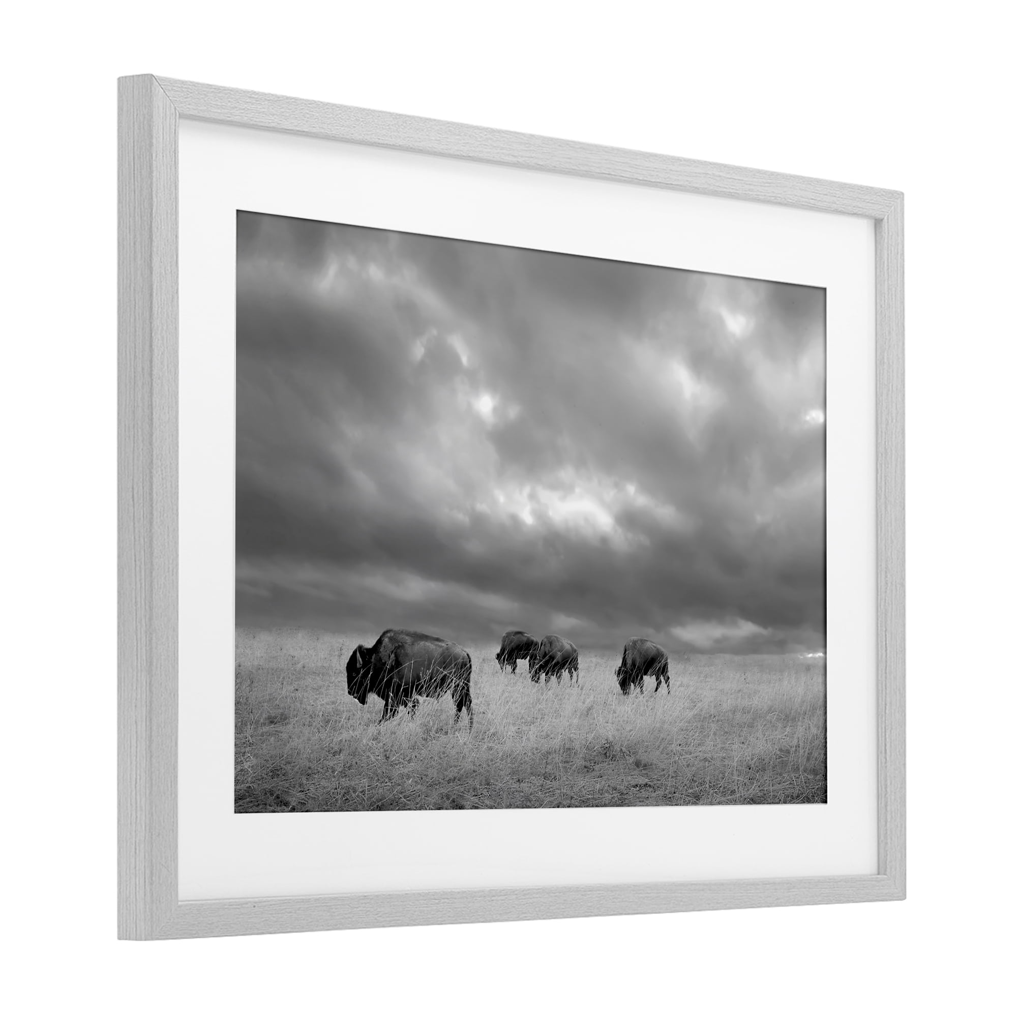 Stupell Industries Bisons Under an Autumn Sky Gray Framed Print Under Glass, design by Steve Toole