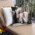 thumbnail image 1 of Ahgly Company Animals Pig Coussin d'Extérieur 18 Pouces par 18 Pouces, 1 of 6