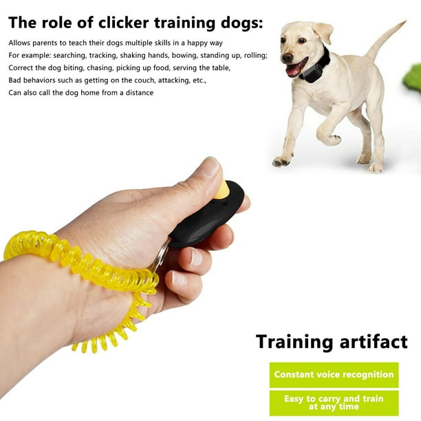 Dog training clicker on sale pets at home