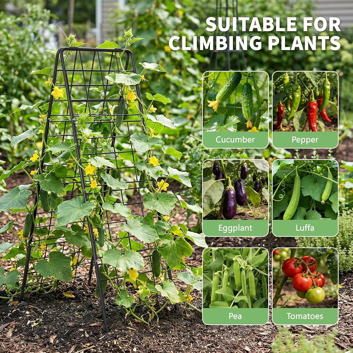 Cucumber Trellis, 59" H 2 Pack Metal Foldable Thickened A Frame Garden Trellis for Raised Bed Climbing Plants, Vegetables, Including Plant Support Clips, Twist Ties, Plastic Ties, Black