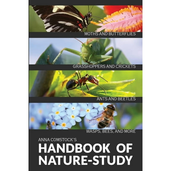The Handbook Of Nature Study in Color - Insects, (Paperback)