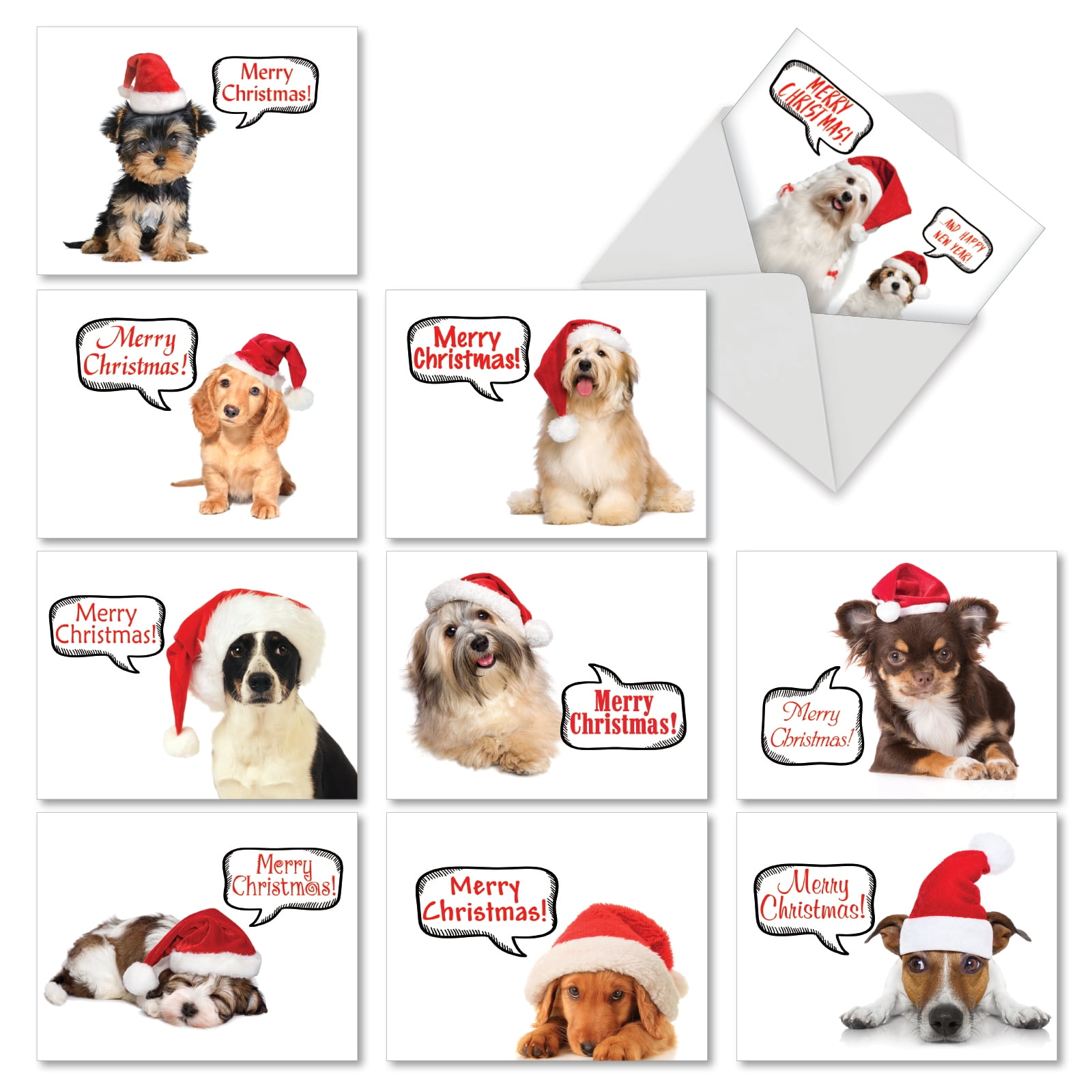 10 Puppy Dog Cards for Christmas - Boxed Assortment of Adorable Dogs (4 x 5.12 Inch) - Walmart
