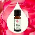 thumbnail image 3 of Plant Therapy Rose Absolute Essential Oil 100% Pure, Undiluted, Natural Aromatherapy 10 mL (1/3 oz), 3 of 7