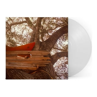 Teenage Bubblegums Days of Nothing (Vinyl Record) - Walmart.com