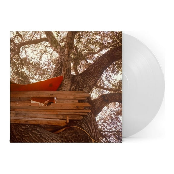 Waiting to Spill The Backseat Lovers (Vinyl Record)