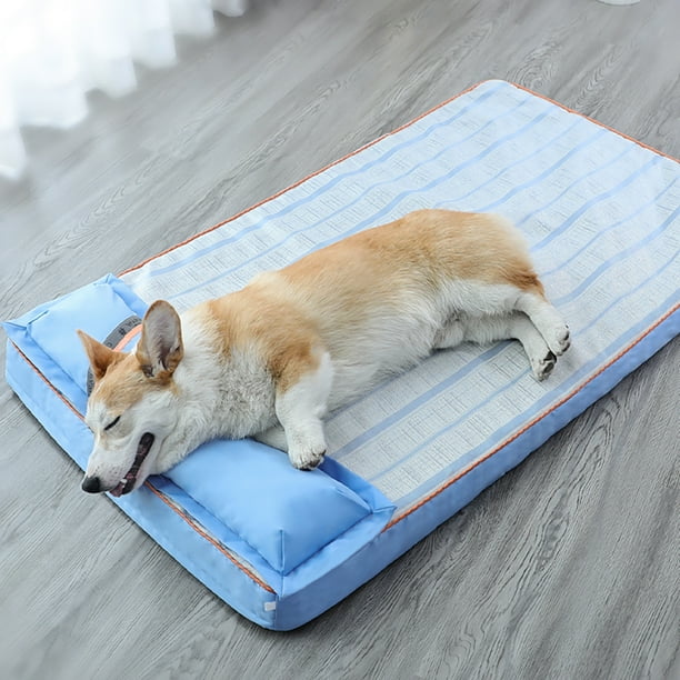 Cooling pillow cheap for dogs