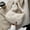 white, variant on Winter Fashion Underarm Shoulder Bags For Women Small Cute Plush Armpit Bag Purse Lady Solid Color Handbag Clutch sac à main