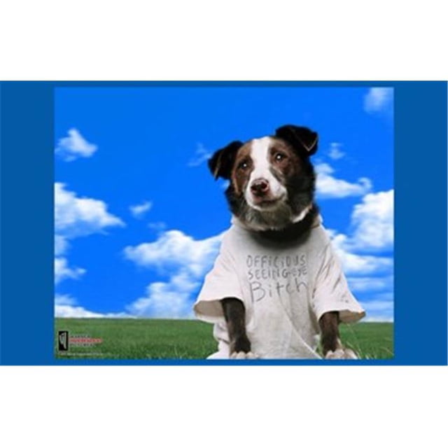 Everything is Illuminated Movie Poster - 17 x 11 in.