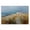 Oceanfront Cottage Wildflower Waves, variant on Stupell Industries Traditional Oceanfront Cottage Wildflowers Birch Framed Print Under Glass, 23 x 17, by Petals Prints Design