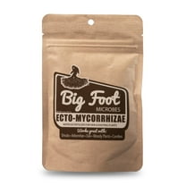 Big Foot Ecto Mycorrhizae Water Soluble Powder for WOODY PLANTS - Shrubs, Arborvitae, Oak, Conifers, Christmas Trees - 2 Ounces