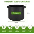 thumbnail image 5 of 10-Pack 3 Gallon Grow Bags, Heavy Duty Thickened Fabric Grow Bags, Nonwoven Fabric Pots with Handles, 5 of 7
