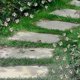 thumbnail image 4 of Bee Garden Stakes Decor Metal Yard Art Ornaments Front Yard Art Stick Floral Picks Spring Summer Resin Bumble Bees Garden Stakes Outdoor Lawn Pathway, 4 of 5