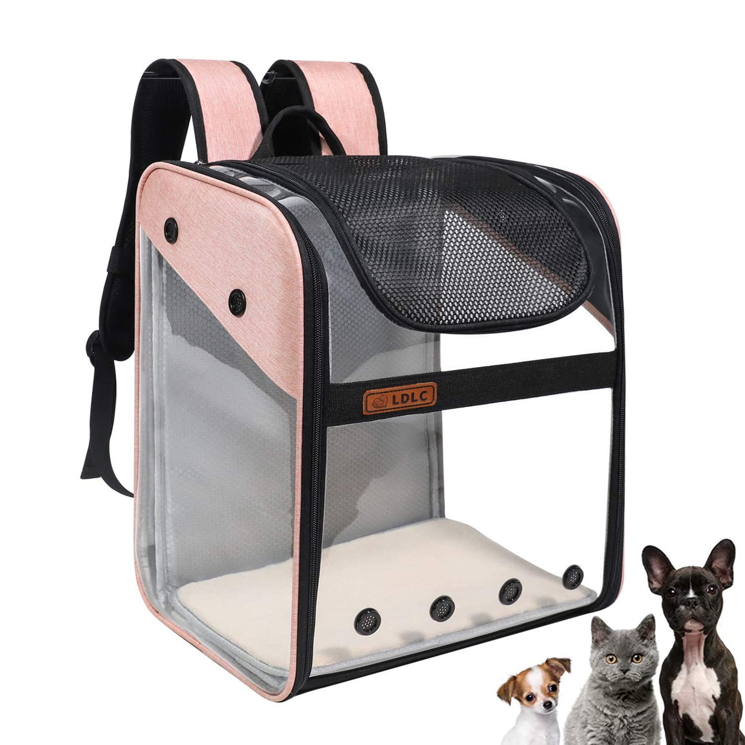 Sac de Transport pour Animaux Sac à Dos Cage Chat Structure en Fil