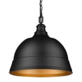 thumbnail image 1 of Rebel 2-Light Pendant in Matte Black and Matte Black, 1 of 5