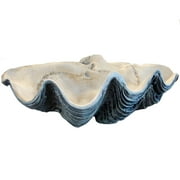 Giant 22 Clam Shell Tridacna Gigas Clamshell White and Gray Seashell