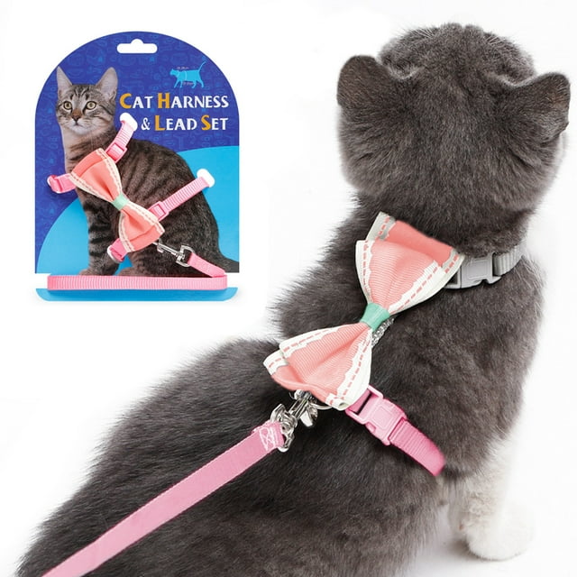 Sangle pour Chat Nœud Mignon Collier pour Chat Anti-Évasion Laisse Laisse pour Animal Ensemble Harnais