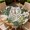 Floral Tiger, variant on ARTSLION Round Outdoor Tablecloth For Up To 36in With Umbrella Hole & Zipper Waterproof Elastic Edge Fitted Table Cover Big Sunflower For Patio Picnic Party, Palm Grove