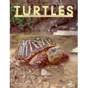 Turtles : An Extraordinary Natural History 245 Million Years in the Making