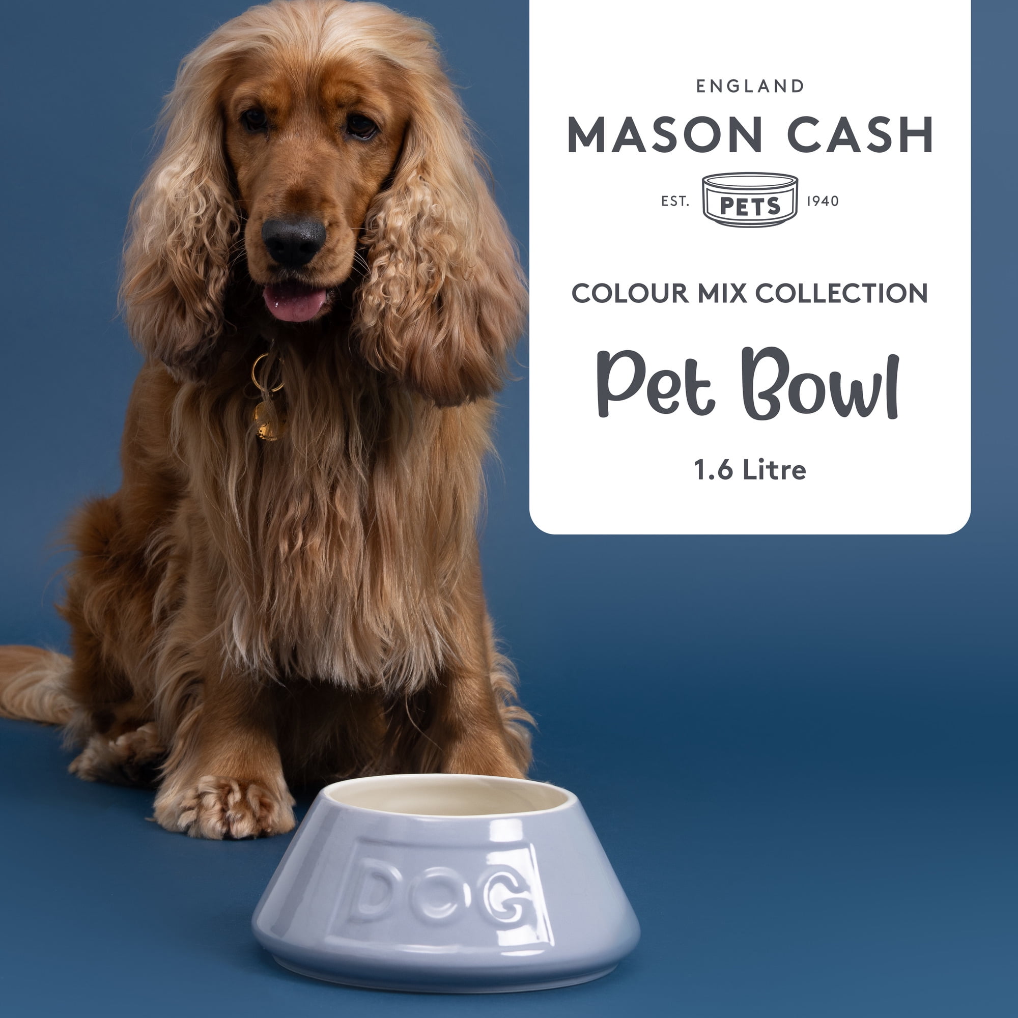 Mason Cash: Non-Tip Dog Bowl - Grey - 8.3", 54oz - Durable Ceramic Food & Water Angled Dish, Microwave-Dishwasher Safe, Pet Meal Feeding & Hydration