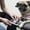 Blue, variant on Pet Supplies Stainless Steel Nail File for Cats and Dogs Tri Color Foot Care File Pet Grooming Beauty Tool Metal Grooming Accessory Easy Clean Foot Nail Buffer 1PC, 13.9 cm, Pink