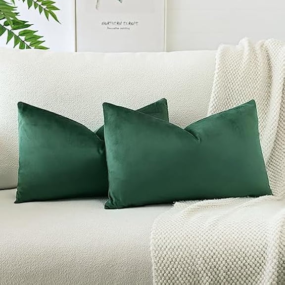 Eryueer Set of 2 Velvet Soft Solid Cushion Covers 30x50 cm Decorative Throw Pillow Covers Soft Lumbar Cushion Case Couch Home Decor Throw Pillow Cases for Sofa Bedroom 12x20 Inch (Army Green)