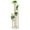 Golden, variant on Giantex 4-Tier Metal Plant Stand, Planter Holder W/ Golden Metal Frame, Faux Marble Finish, Potted Planter Display Rack