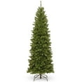 thumbnail image 1 of 7 ft. North Valley Spruce Pencil Slim Tree, 1 of 1