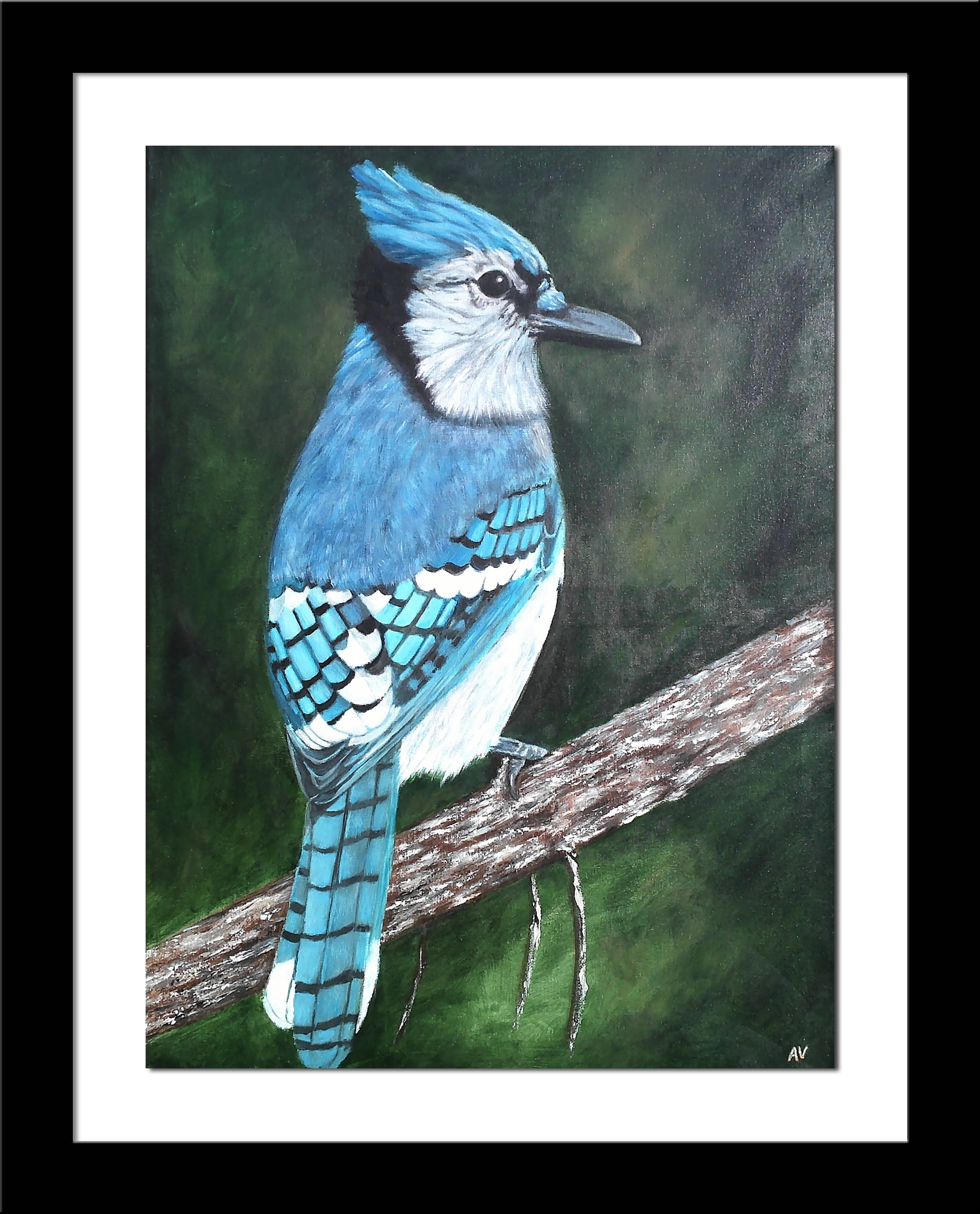 Framed Blue Jay By Amy Valiante 16x Matted Bird Painting Reproduction Art Print Walmart Com Walmart Com Framed Blue Jay By Amy Valiante 16x Matted Bird Painting Reproduction Art Print Walmart Com Walmart Com