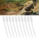 thumbnail image 1 of Alimentador de reptiles ANGGREK Tubo de Alimentación de Plástico para Lagartos, 1 of 8