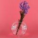 thumbnail image 4 of Jarrón de cristal transparente redondo, terrario hidropónico, soporte para maceta, decoración de florero, 4 of 8